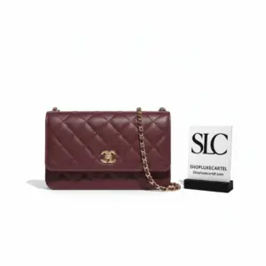 Classic Caviar Quilted Leather Wallet On Chain Bag A33814