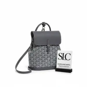 Classic Chevron Print Alpin Mini Convertible Travel Backpack