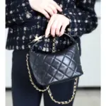 Classic-Quilted-Lambskin-Small-Hobo-Shoulder-Bag-AS1745-Black-Classic-Quilted-Lambskin-Small-Hobo-Shoulder-Bag-AS1745-Black-3.webp