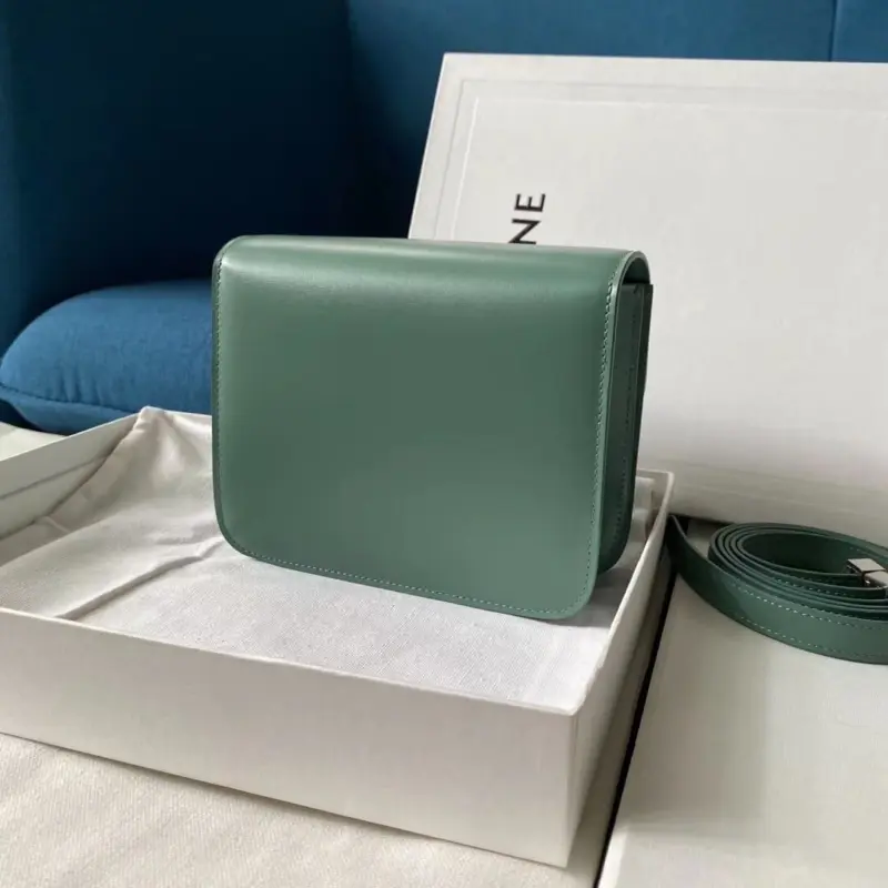 Classic-Teen-Box-Style-Shoulder-Bag-in-Smooth-Calfskin-192523-Light-Green-Classic-Teen-Box-Style-Shoulder-Bag-in-Smooth-Calfskin-192523-Light-Green-3.webp