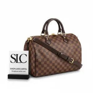 Damier Ebene Print Speedy Top Handle Duffle Bag 30 N41367