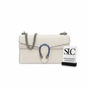 Dionysus Classic Leather Small Chain Strap Shoulder Bag 499623