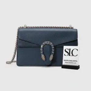 Dionysus Textured Small Chain Strap Shoulder Bag 400249