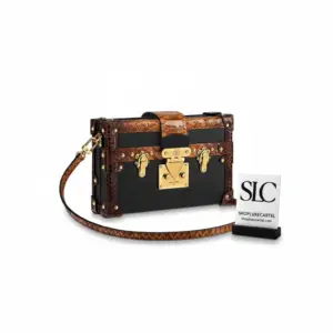 Exotic Python Leather Trunk Style Petite Malle Clutch N94723