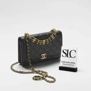 Grained Calfskin Quilted Wallet on Chain Crossbody Bag AP3019