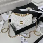 Grained-Calfskin-Quilted-Wallet-on-Chain-Crossbody-Bag-AP3019-White-Grained-Calfskin-Quilted-Wallet-on-Chain-Crossbody-Bag-AP3019-White-1.webp