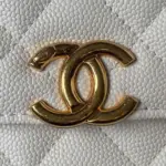Grained-Calfskin-Quilted-Wallet-on-Chain-Crossbody-Bag-AP3019-White-Grained-Calfskin-Quilted-Wallet-on-Chain-Crossbody-Bag-AP3019-White-3.webp