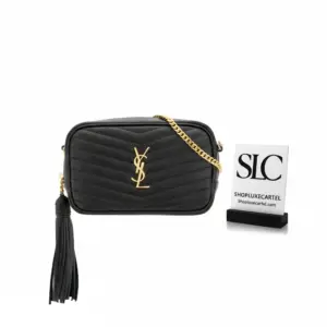 Lou Mini Camera Crossbody Bag in Black Grain Leather 585040