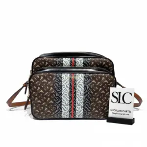 Medium Monogram Stripe E-Canvas Crossbody Camera Style Bag 80193761