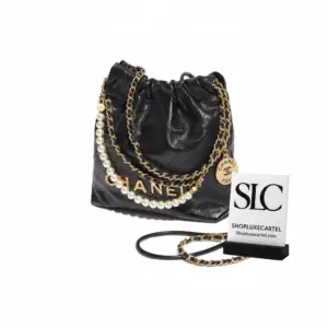 Mini 22 Shoulder Bag with Pearl Chain in Crumpled Calfskin AS3980