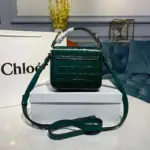Mini-C-Clasp-Shoulder-Bag-in-Embossed-Croco-A873-Green-Mini-C-Clasp-Shoulder-Bag-in-Embossed-Croco-A873-Green-2.webp