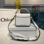 Mini-C-Clasp-Shoulder-Bag-in-Embossed-Croco-A873-White-Mini-C-Clasp-Shoulder-Bag-in-Embossed-Croco-A873-White-2.webp