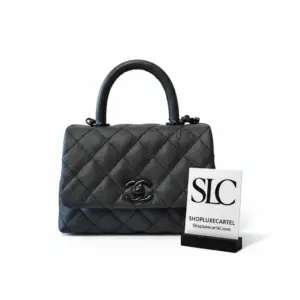 Mini Top Handle Flap Bag in Ultra Matte Calfskin AS2215