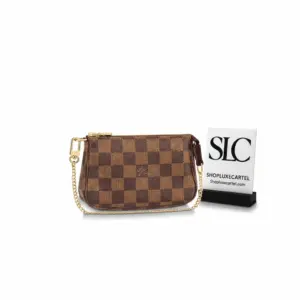 Miniature Pouch Handbag with Chain Strap Accessoires N58009