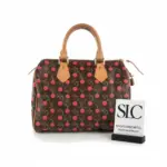 Monogram-Cerises-Print-Speedy-25-Top-Handle-Boston-Bag-M41108-1.webp