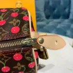 Monogram-Cerises-Print-Speedy-25-Top-Handle-Boston-Bag-M41108-9.webp