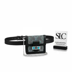 Monogram Print Dauphine Crossbody Belt Bag BB M68619