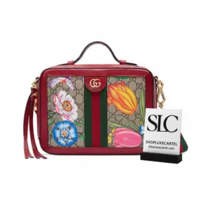 Ophidia GG Flora Print Dome Top Handle Bag 550622