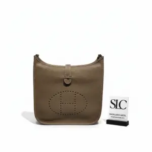 Perforated Logo Evelyne III GM Clemence Leather Messenger Bag