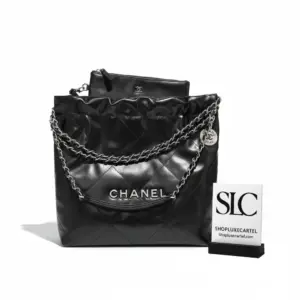 Quilted 22 Small Hobo Handbag in Shiny Calfskin AS3260