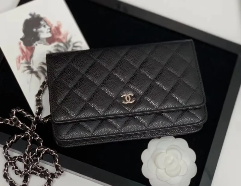 Quilted-Caviar-Leather-Wallet-on-Chain-with-Gold-Hardware-528725-Black-Quilted-Caviar-Leather-Wallet-on-Chain-with-Gold-Hardware-528725-Black-2.webp