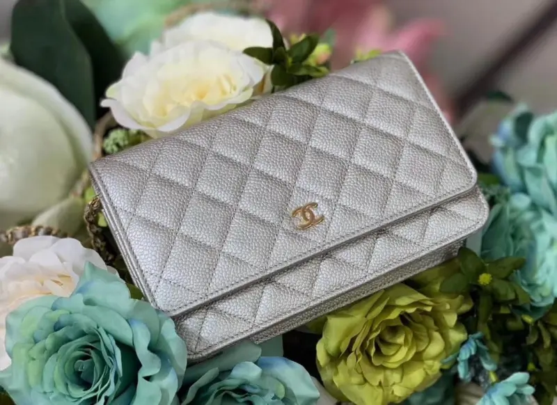 Quilted-Caviar-Leather-Wallet-on-Chain-with-Gold-Hardware-528725-Silver-Quilted-Caviar-Leather-Wallet-on-Chain-with-Gold-Hardware-528725-Silver-1.webp