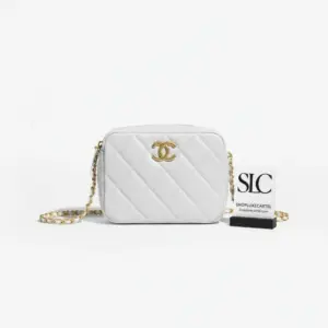 Quilted Grained Calfskin Camera Crossbody Shoulder Bag AS2856