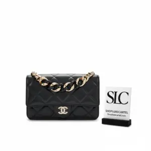 Quilted Lambskin Plexiglass Top Wallet On Chain Crossbody AP2377