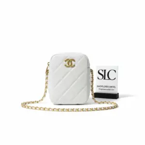 Quilted Mini Camera Crossbody in Iridescent Grained Calfskin AS2857