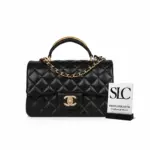 Quilted-Mini-Flap-Shoulder-Bag-With-Gold-Top-Handle-AS2431-1.webp