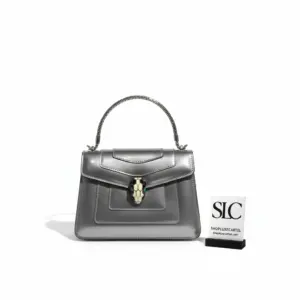 Serpentine Forever Crossbody Bag in Silver Brushed Metallic Finish 281205