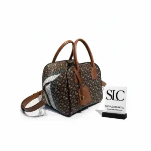 Small Monogram Stripe Crossbody Cube Bag in E-canvas 80193561