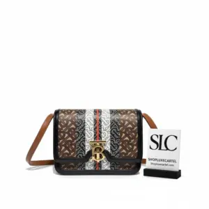Small Monogram Stripe E-canvas Crossbody Bag 80193361
