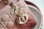 Small-Quilted-Cannage-Bag-in-Pink-Gradient-Lambskin-M0538-5.webp