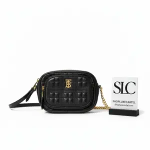 Small Quilted Lambskin Crossbody Camera Shoulder Bag 80207571