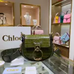 Small-Saddle-Crossbody-Shoulder-Bag-in-Embossed-Croco-A876-Army-Green-Small-Saddle-Crossbody-Shoulder-Bag-in-Embossed-Croco-A876-Army-Green-1.webp