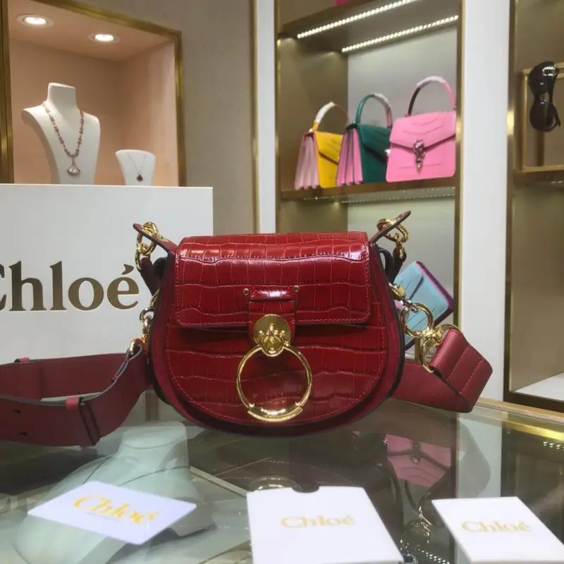Small-Saddle-Crossbody-Shoulder-Bag-in-Embossed-Croco-A876-Red-Small-Saddle-Crossbody-Shoulder-Bag-in-Embossed-Croco-A876-Red-1.webp