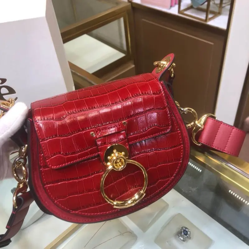 Small-Saddle-Crossbody-Shoulder-Bag-in-Embossed-Croco-A876-Red-Small-Saddle-Crossbody-Shoulder-Bag-in-Embossed-Croco-A876-Red-2.webp