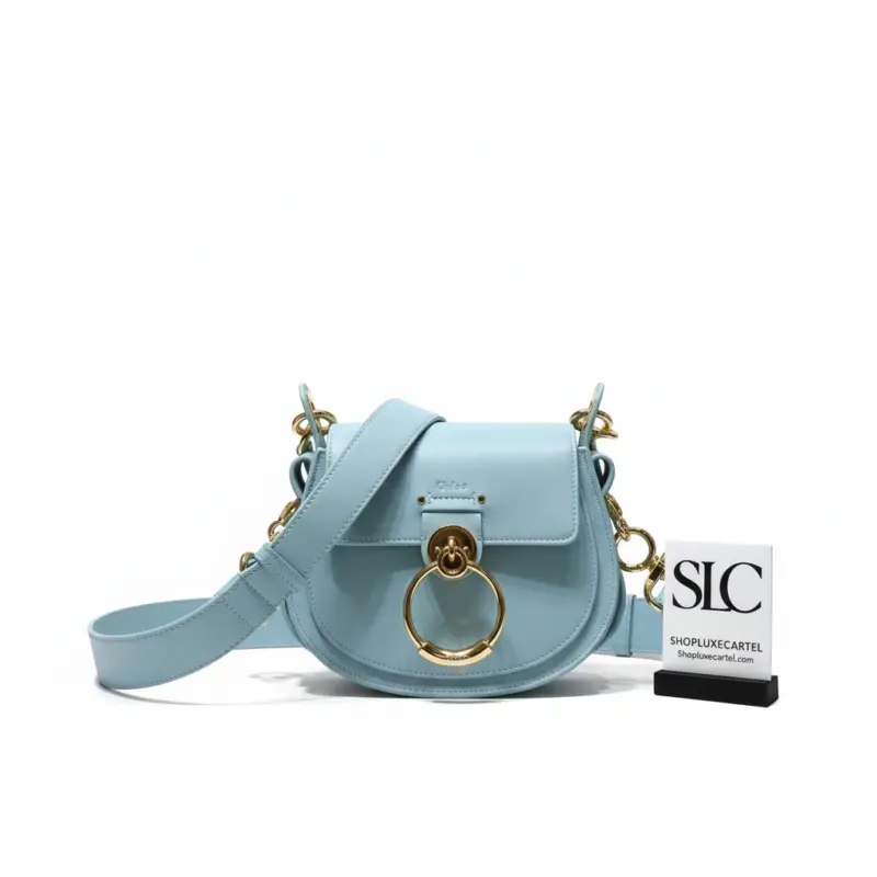 Small-Tess-Crossbody-Saddle-Bag-in-Genuine-Calfskin-S1153-1.webp