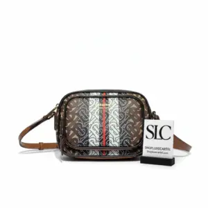 Striped Monogram Print Coated Canvas Crossbody Camera Bag 80183621