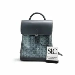 Structured Convertible Top Handle Alpin Mini Backpack 489882