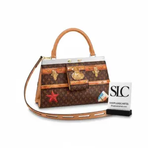 Structured Monogram Print Top Handle Frame Bag M43946