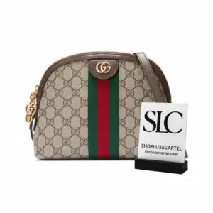 Supreme Monogram Print Small Dome Crossbody Shoulder Bag 499621