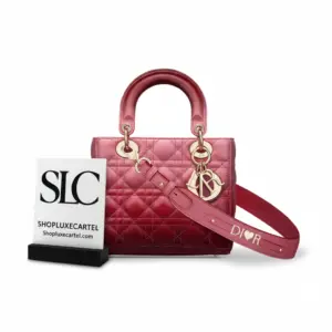 Top Handle Cannage Bag with Customizable Strap Pink Gradient M0538